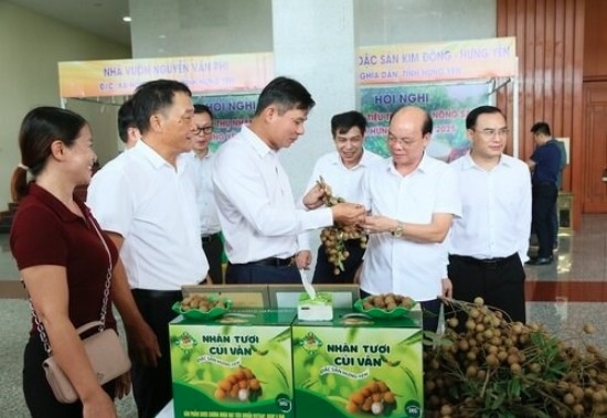 Over 50,000 tons of Hung Yen longans set for exports to global market